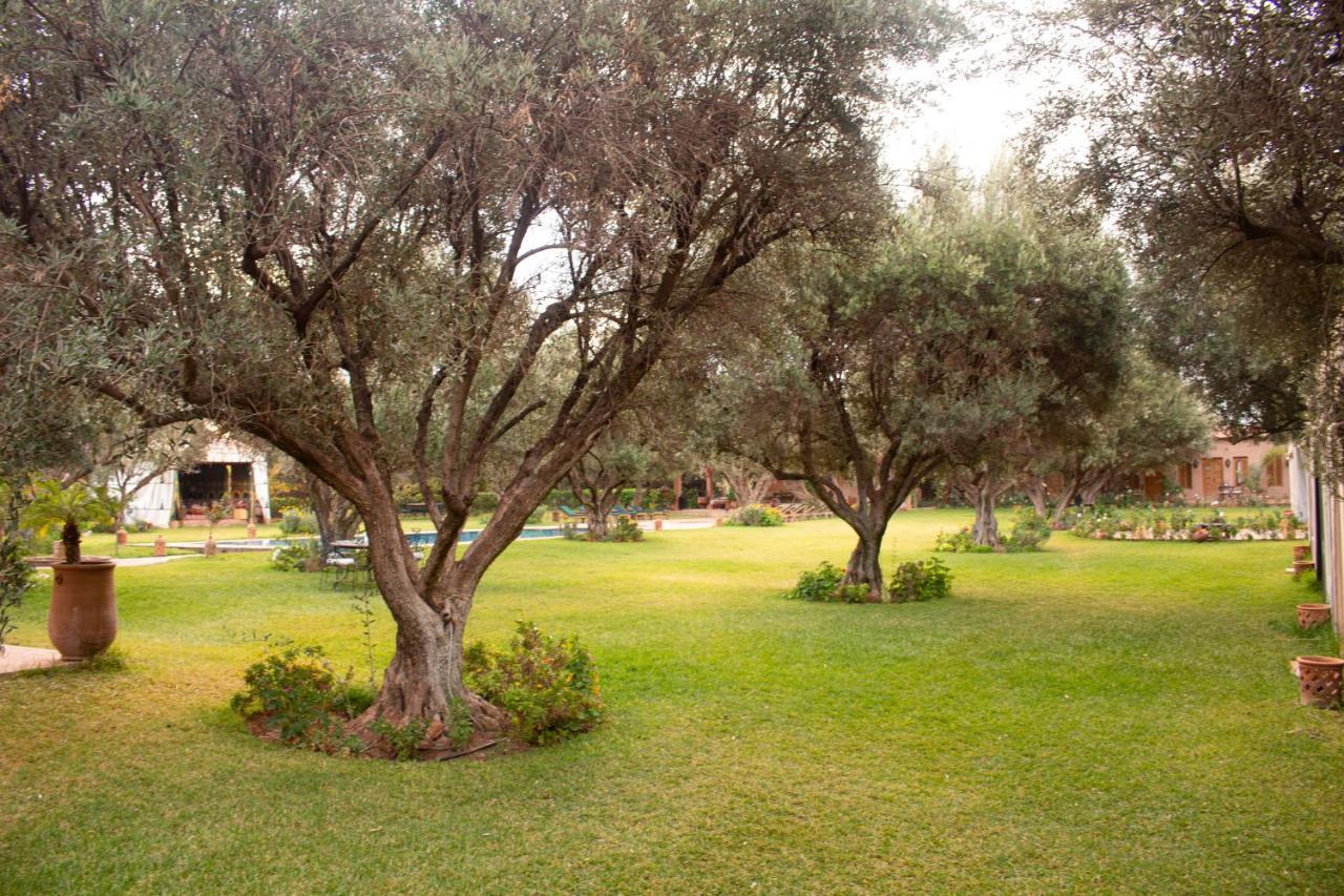 Greenlife Marrakech Marakeş Dış mekan fotoğraf